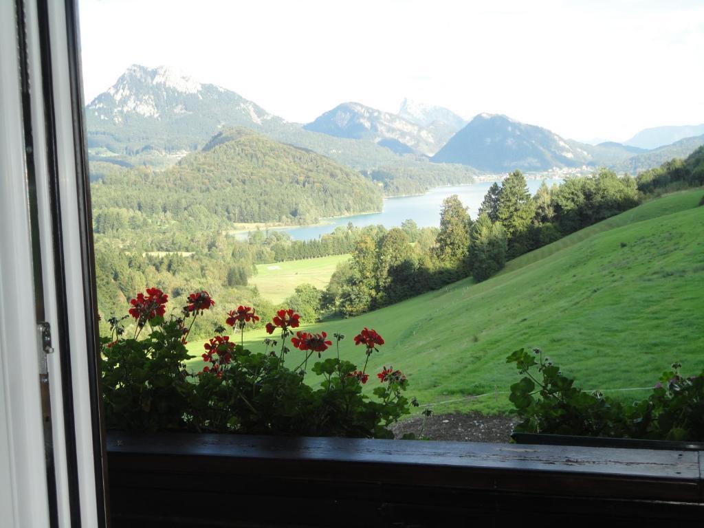 Bauernhof Strumegg Vila Hof bei Salzburg Quarto foto